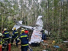 Abgestürztes Flugzeug im Wald, vor Beginn der Bergungsarbeiten.